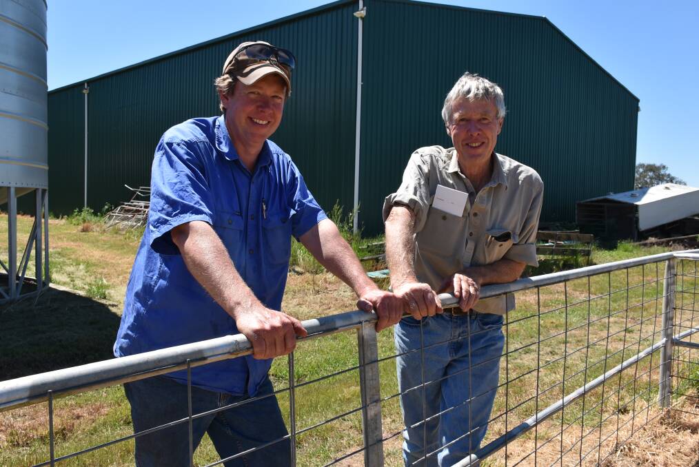 GENETIC GAINS: Kym and John Lyons, Warooka Pastoral Company, Melville Forest, Vic, use high-performing White Suffolk sires in their crossbreeding operation. 