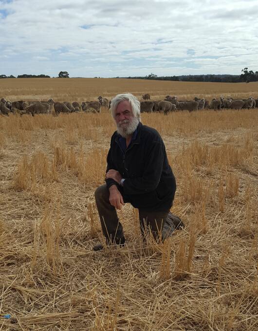 Stuart McClelland, "Hornehill", Archdale, has been using Kerrilyn genetics in his flock for more than 10 years, aiming to breed heavy-cutting sheep.