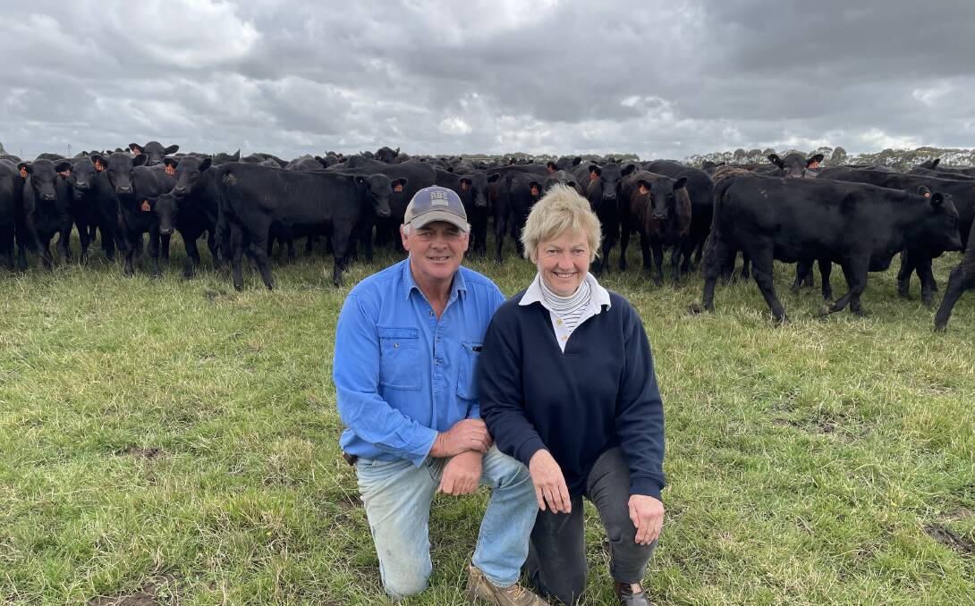 Despite the wet, cold spring, Graeme and Liz Glasgow, Claremont, Woolsthorpe, are pleased with how this year's drop of calves are looking. They will offer about 110 steers and heifers at the Mortlake weaner sale in January. Picture by Kylie Nicholls.