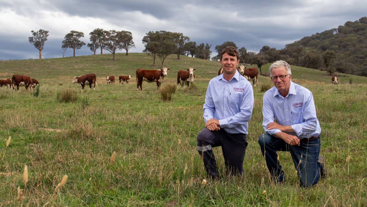 Proudly celebrating 50 years of breeding Herefords, Blake and Ross Smith, Glenellerslie stud, Adelong, NSW, are looking forward to welcoming visitors during the upcoming Stock & Land Beef Week. Picture supplied