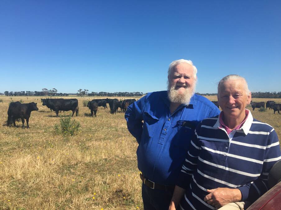 CONSISTENT QUALITY: Neville and Florence Young, Nevflo, Caramut, are pleased with this year's drop of Angus and Poll Hereford calves to be offered at Mortlake in January.
