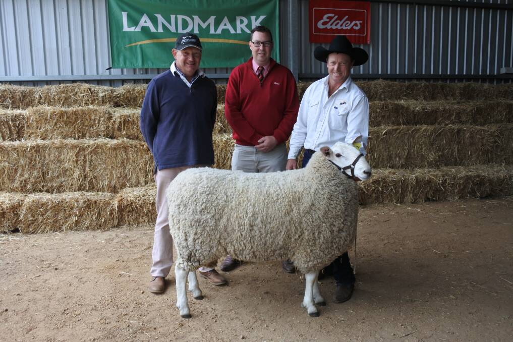 STRONG DEMAND: Craig Bradley, New Armatree, Gilgandra, NSW, Ross Milne, Elders, and Ross Jackson, Jackson Farming, Moyston, with the second top priced ram bought by the Bradley family for $9000.