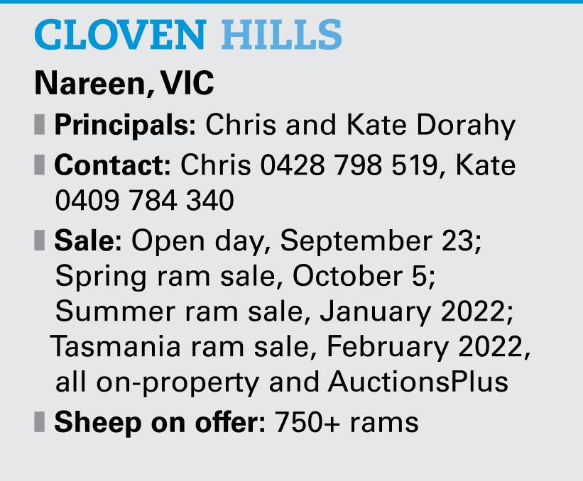 Cloven Hills leads the way in prime lamb maternal performance