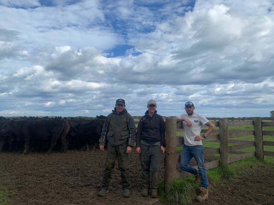 QUALITY GENETICS: King Island beef producers Joel, Laura and Josh Harvey, are focused on producing grass-fed Angus steers suitable for the export market.