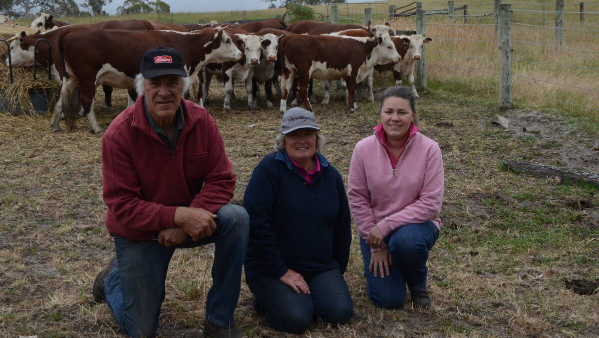 STRONG DEMAND: Jeoff and Jill Hortle and their daughter Carmen Gorman, Woranga, Casterton, will offer about 120 Yarram Park-blood steers and 90 heifers in next month's weaner sales at Casterton. Despite a tough start, Mr Hortle said the calves are putting on plenty of weight now.