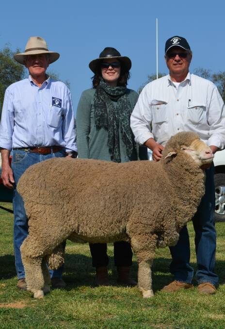 QUALITY GENETICS: The newest addition to Stavely Park’s stud sire line-up is Bullet purchased from the Brundanella stud, Grenfell, NSW, for $15,000. Pictured with the ram is Brundanella stud principal Ian Griffith, Felicity Brady, Stavely Park, and Michael Elmes, Smart Stock, Narrandera, NSW.