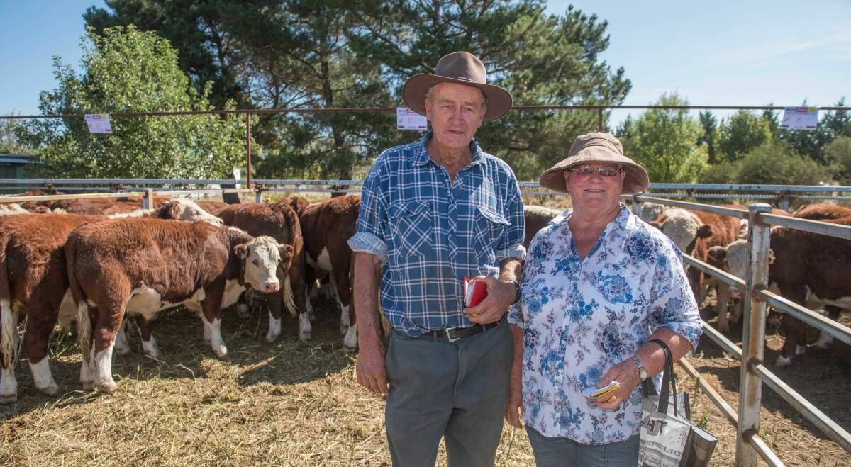 SALE SEASON: Max and Margaret Pendergast, Kimberley Park, Benambra, along with Max's brother Ray and wife Judy, will sell 90 Hereford calves during the annual sales.