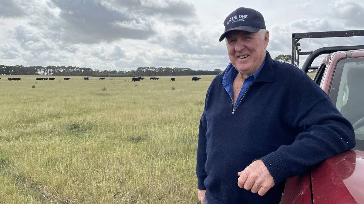 Henry Cameron, Athlone, Penshurst, is pleased with how this year's drop of Angus calves is looking ahead of the Mortlake weaner sale in January. Picture by Kylie Nicholls