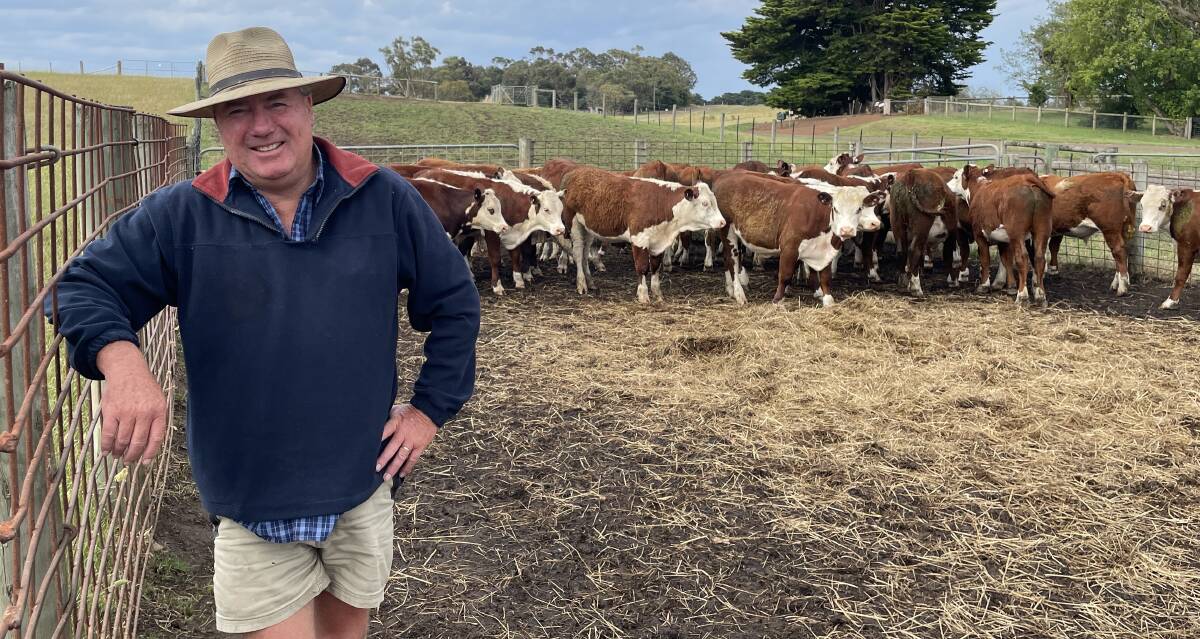 John Pepper, Pepper Partnership, Tahara, will offer 180 Hereford calves in next month's weaner sales at Hamilton. Picture by Kylie Nicholls