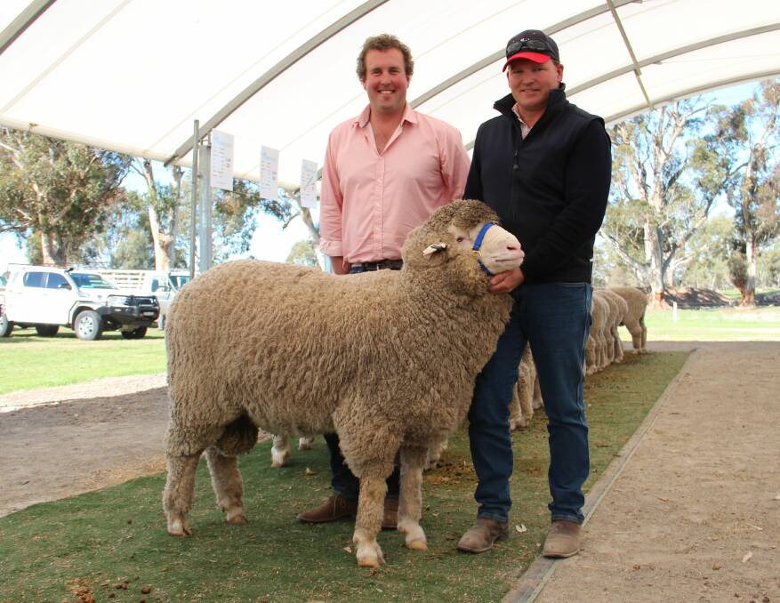 GENETIC GAINS: Trent Carter, Wallaloo Park, Marnoo, with Pat Millear and his latest addition to the Stud Park South sire line-up, Wallaloo Park 17-02092, purchased at this year’s Wallaloo Park ram sale for $18,000.