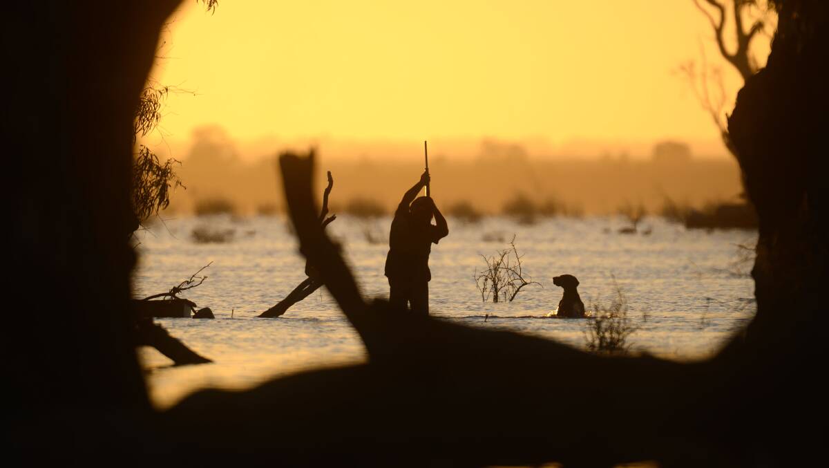 MAY DAY: The Victorian duck season dates have finally been announced.