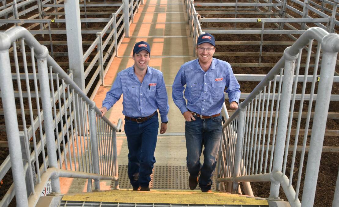 UP AND COMERS: Aaron Ralph and Jarryd Sutton are setting up their own livestock and real estate agency in Sale.