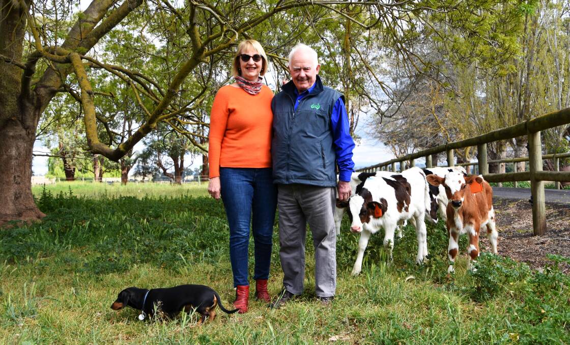 HYPERACTIVE: Jean and Jakob Malmo with their dog, Bertie, are "having a ball" running their two dairy farms after marrying this year and Dr Malmo's retirement as a vet.