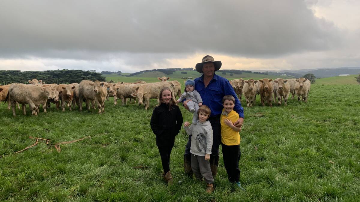 CHAROLAIS AND CHILDREN: Daniel Bates with children, Lucy, 9, Dylan, 5, Hunter, 7 and baby Harley, 6 months, and his line of pure-bred Charolais destined for Pakenham store sale.
