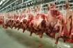COVID meatworks hit as union calls for moves to protect supply chain