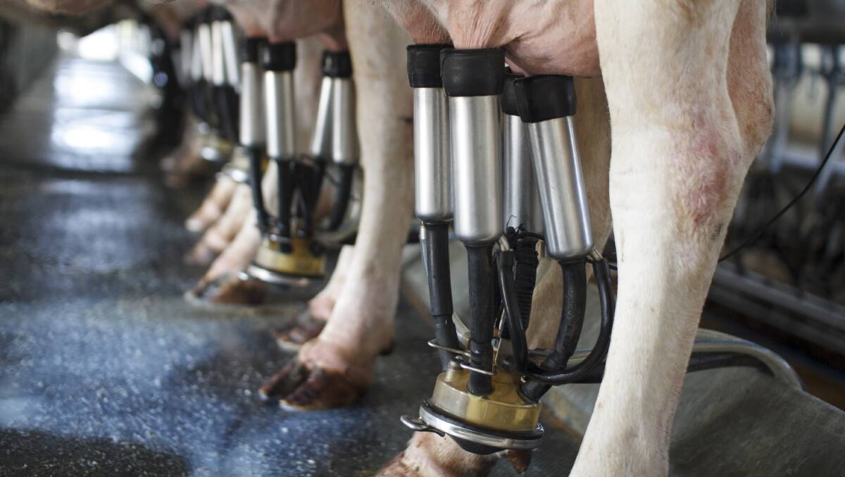 CONTROVERSIAL TOPIC: There are mixed views on whether regulating the farmgate milk price will benefit grass roots dairy farmers.