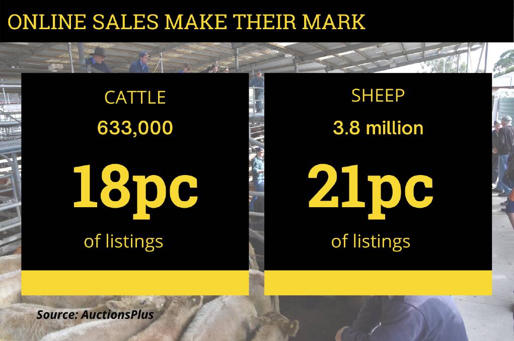 ONLINE AND UPWARDS: AuctionsPlus says it is selling up to one in five head of cattle offered at auction, whether on its platform or in bricks-and-mortar saleyards.