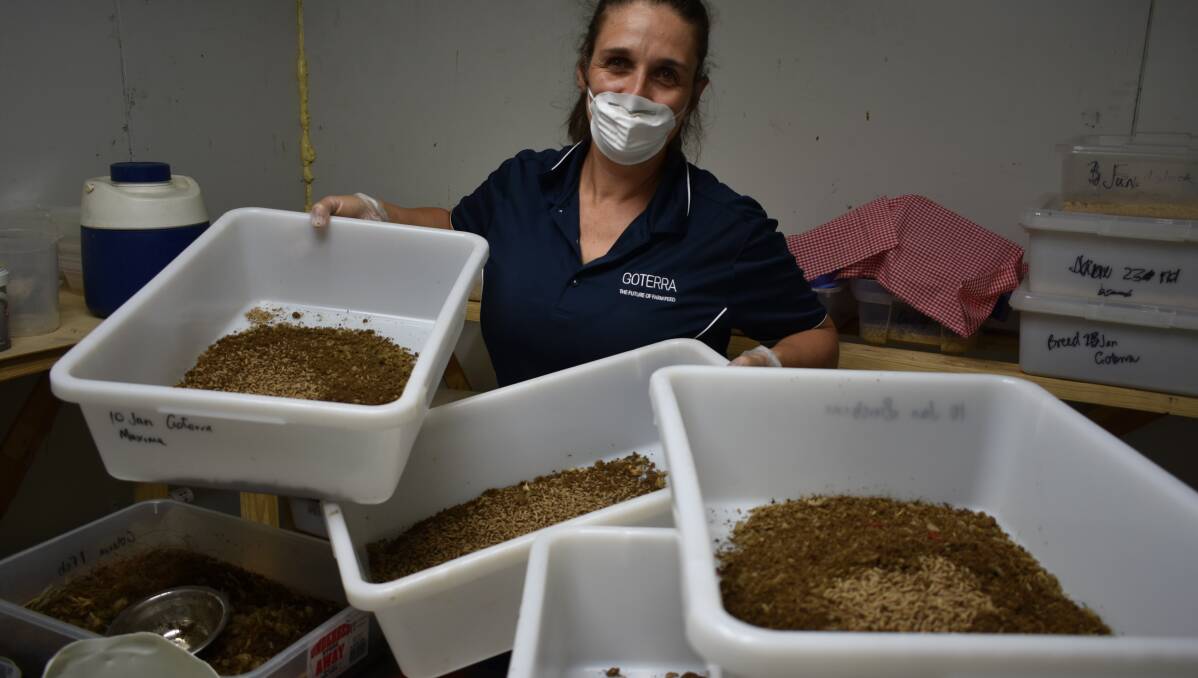 CHICKEN FEED: Goterra chief executive Olympia Yarger will tell the Global Food event in Melbourne that insect products have a big future in stockfeed.