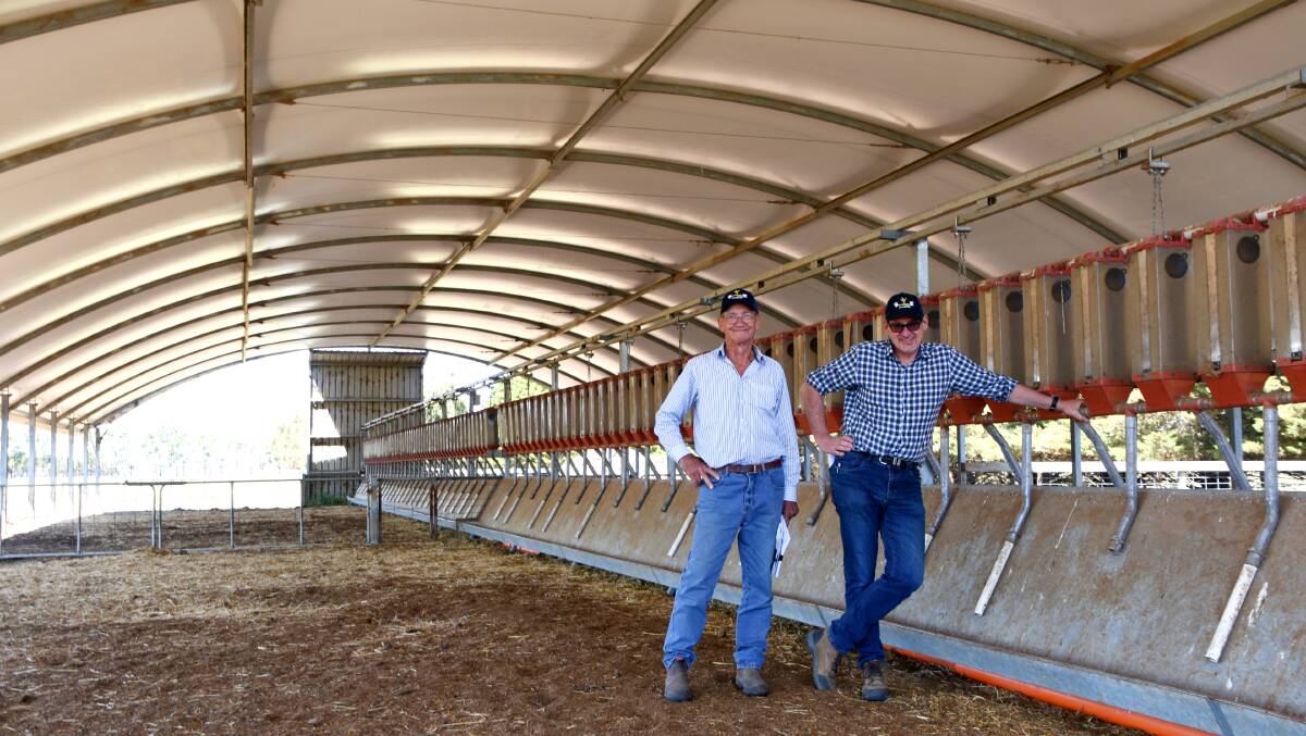 SHELTER: Robin Bendle and Martin Clark, Murnong, Inverleigh, in the sheltered freestall area where ewes are fed a carefully calibrated diet.