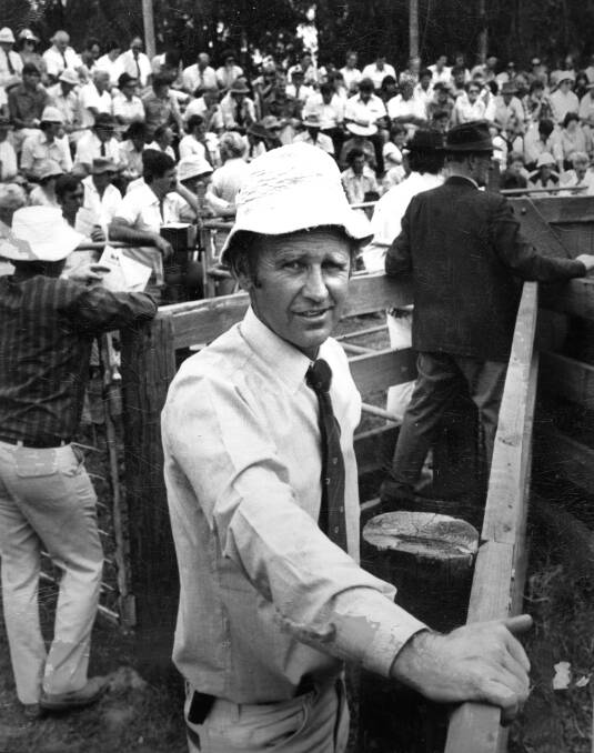 VALE: Andrew Gubbins photographed by Stock & Land during a 1970s Te Mania bull sale at 'Pardoo', Colac, with the crowd seated on his wood and earthen amphitheatre.