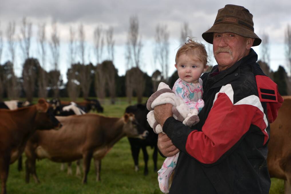 GENERATIONS OF DAIRY: Henry McKenzie, with granddaughter, Lilly.