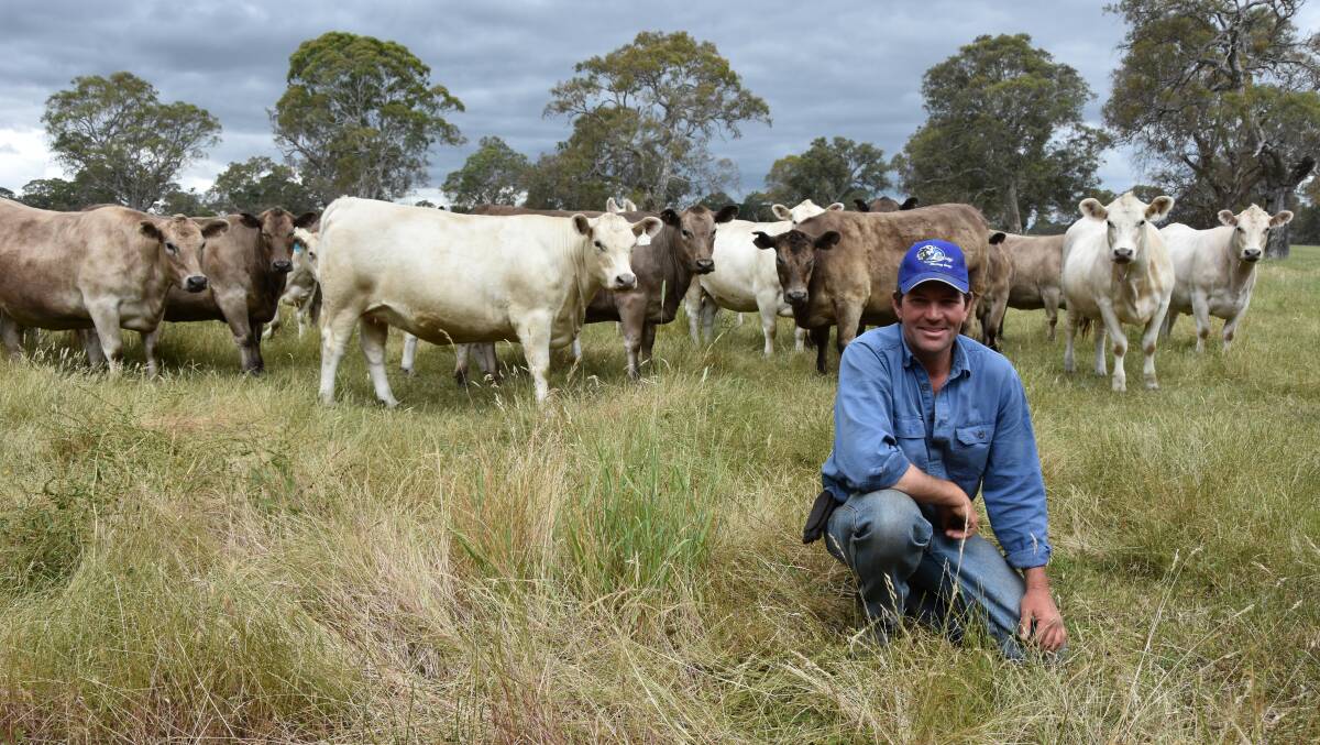 CONSISTENT: Lindsay Murray Grey stud co-principal Craig Grant likes well-balanced, efficient cattle.