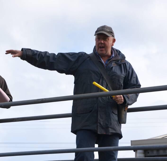 MIXED NEWS: Alex Scott & Staff agent Neil Darby sells cattle at the Warragul saleyards.