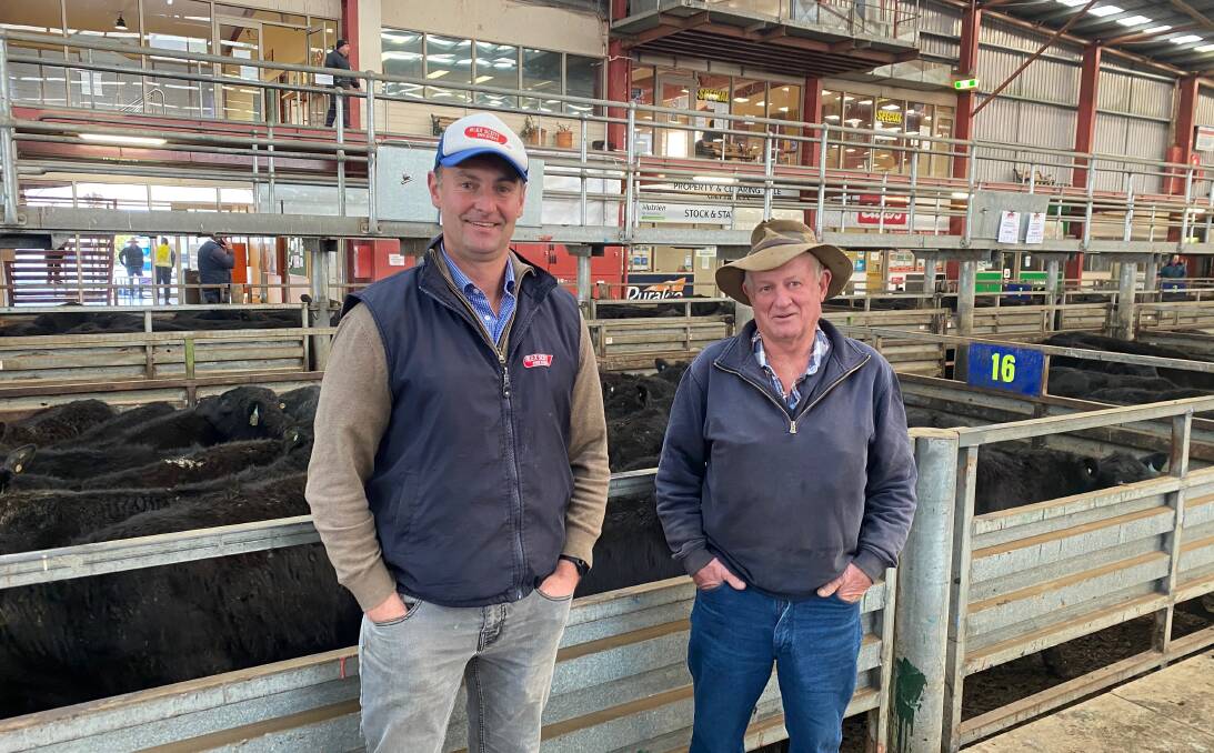 MUD MEN: Alex Scott & Staff agent David Setches and Geoff Murray, Nar Nar Goon, with some of Mr Murray's cattle at Pakenham.