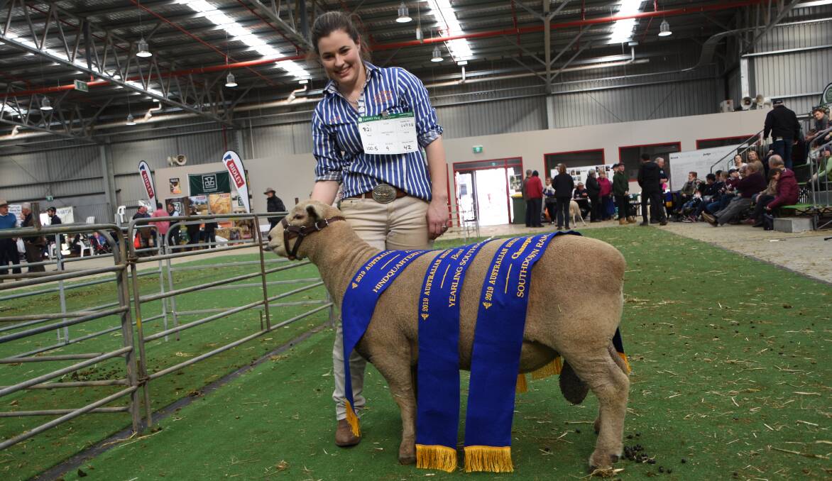 SOUTHDOWN: Yentrac's prizewinning Southdown ram with Katie McCartney.