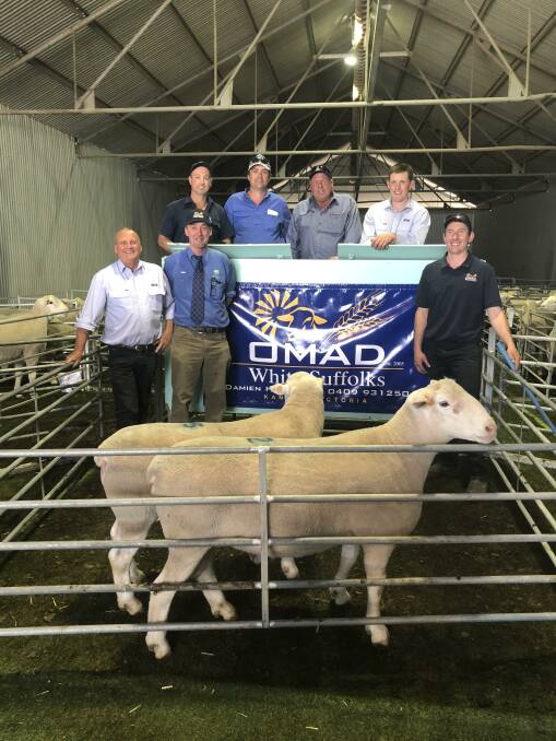 OMAD SALE: Back row: Billy Crouch, Ben Harding, Tex Willersdorf and Will Schilling. Front row: Agents Chris Barber and Stuart Kyle with Omad principal, Damien Hawker.