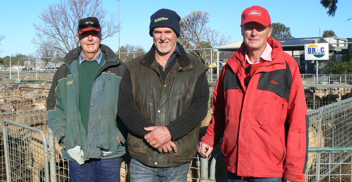 SALE: John Steer from Lameroo, Anthony Gregurke from Parrakie and Elders stock agent Pat Larson were among those who had a big day at Ouyen.