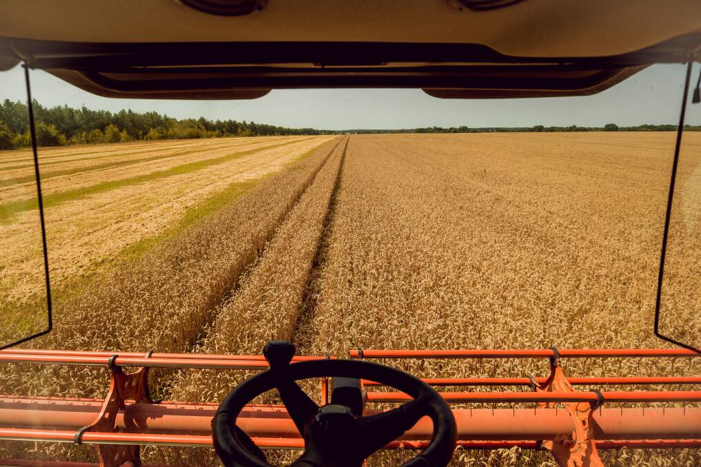 MARKET MOVES: Malcolm Bartholomaeus says that Australian wheat prices face a large price fall between now and the end of next year, unless there is a considerable lift in global wheat prices.