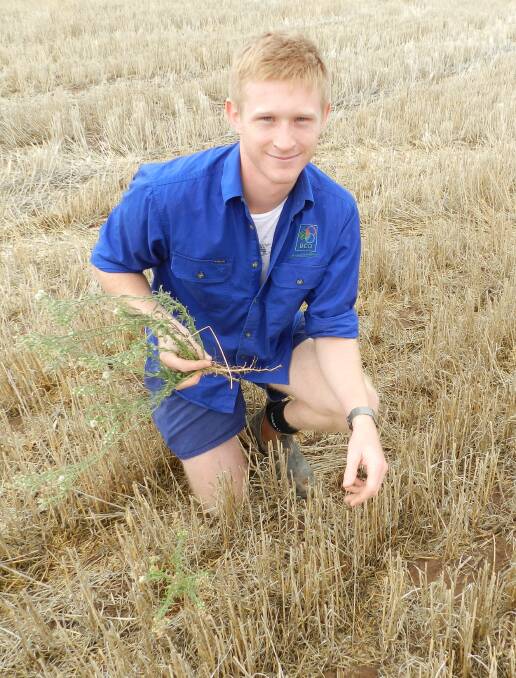 ACT NOW: Birchip Cropping Group contract services manager Cameron Taylor says growers should control flaxleaf fleabane early and protect future yields.