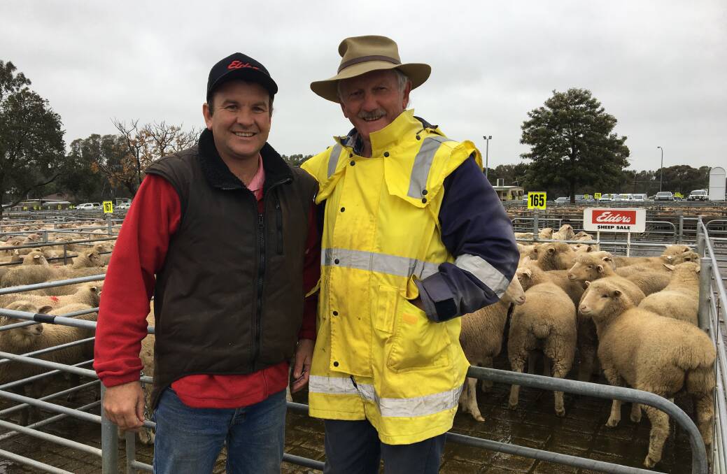 TO MARKET: Scott Parker of Elders with client Jim Dehennin of Talgarno, who sold 29 white Suffolk suckers for $189.20 at Corowa. Numbers there eased as wet weather affected supply. 