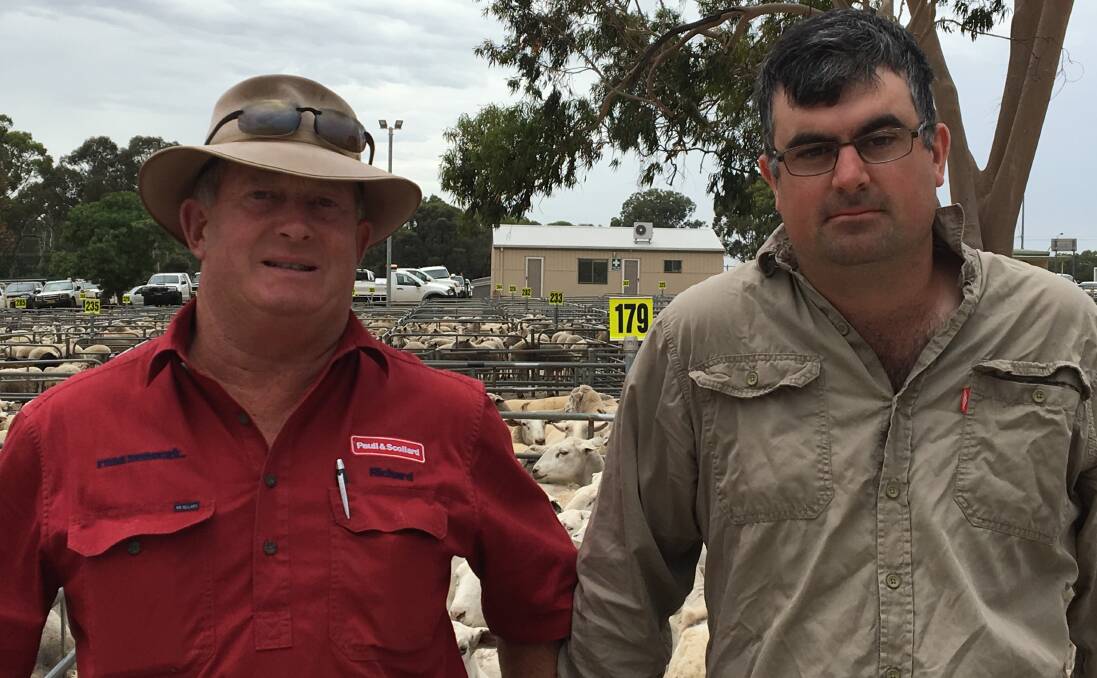 SOLD: Richard Wynne from Paull & Scollard Corowa with Balldale producer Johnathon Perry, who sold 107 shorn lambs for $158.60 at Corowa. New Year lamb numbers there were the best seen in some time. 