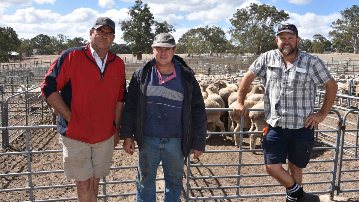 QUALITY LAMBS: Neil Carr of Mount Torrens in South Australia with Darren White from Harrogate and Cromer producer Glenn Howson at this week's Mt Pleasant sale. 