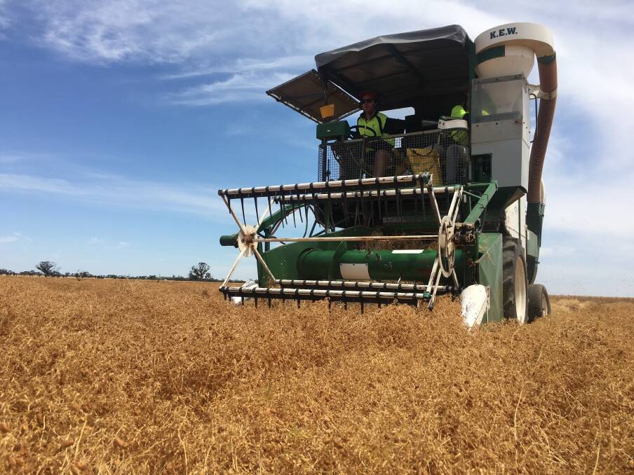 CRUCIAL: Harvest is under way. While there are plenty of time pressures, farmers must look after themselves, employees, contractors and seasonal workers.