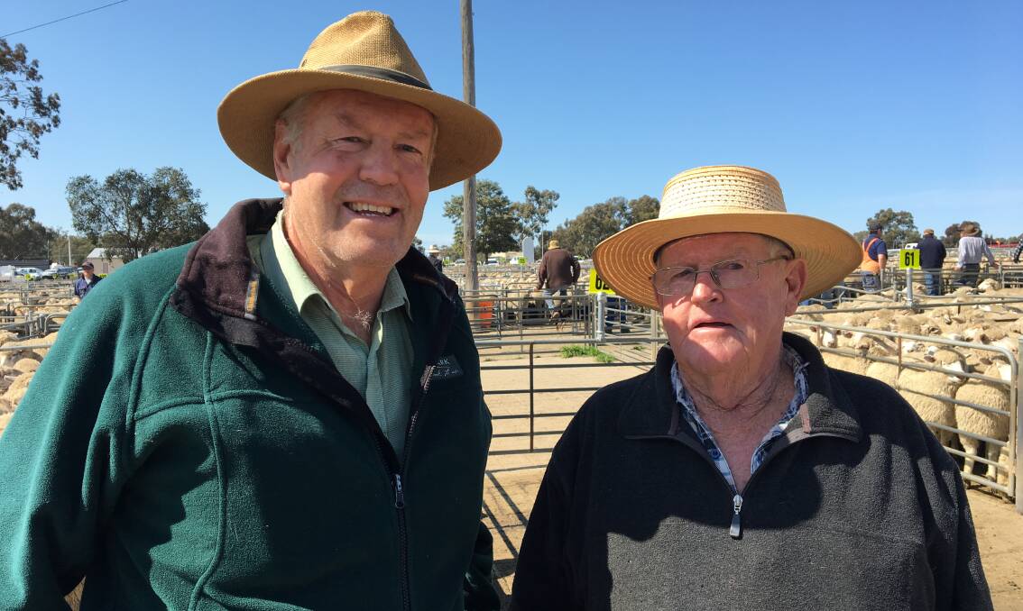 TO MARKET: Roy Monte from Landmark Corowa with John Buckingham from Norong, who sold 85 new seasons lambs to $162.00. Lamb numbers at Corowa eased to 9200 this week, including 7593 new season lambs. 