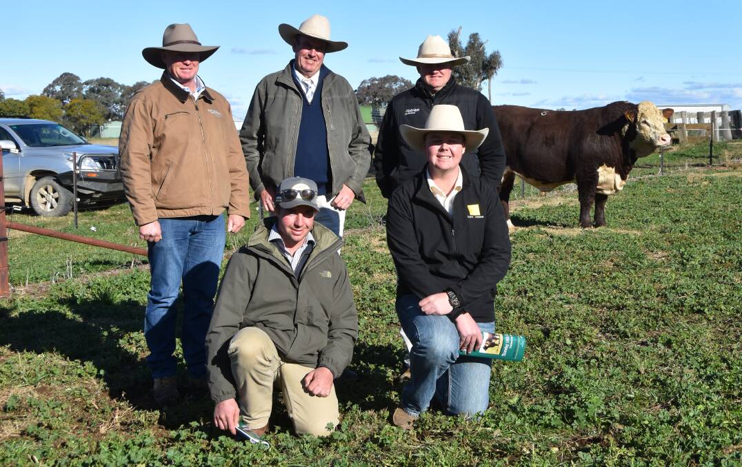 Top price Poll Hereford Bowen Porter P259 who sold for $16,000 with vendor Stephen Peake, auctioneer Paul Dooley, Nutrien Ag agent John Settree, new owner Oliver Jeffery, Eathorpe Poll Herefords, Armidale and Ray White agent Blake O'Reilly 