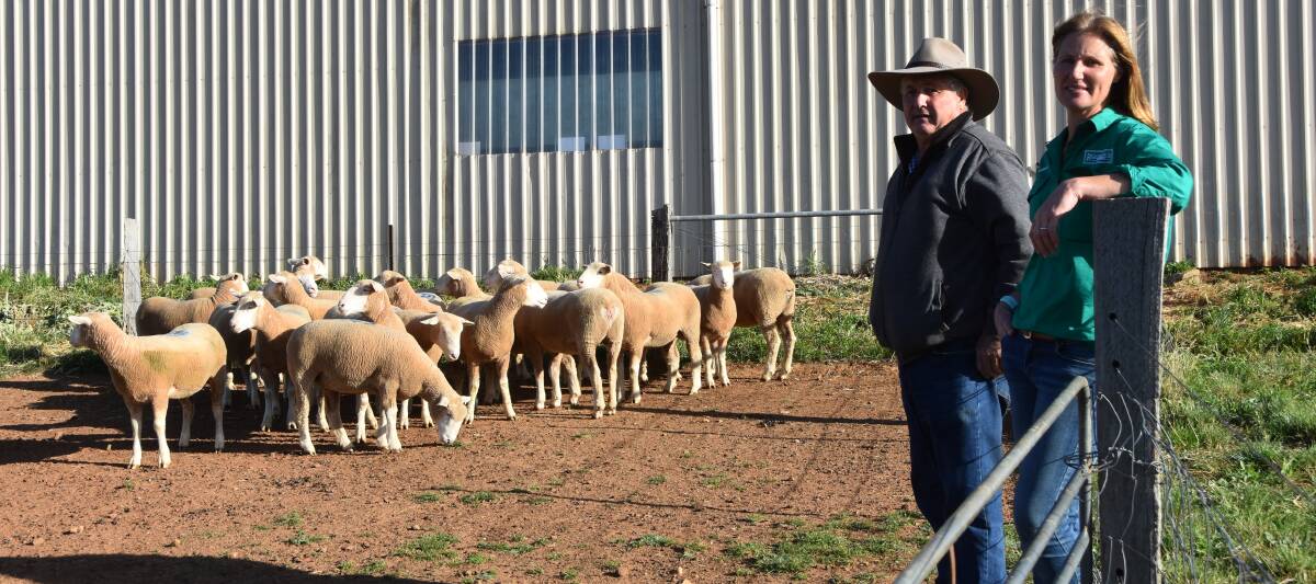 John Chadwick, Eagles View, Running Stream and the 20 stud ewes he purchased with vendor Isabele Roberts, Ridgehaven