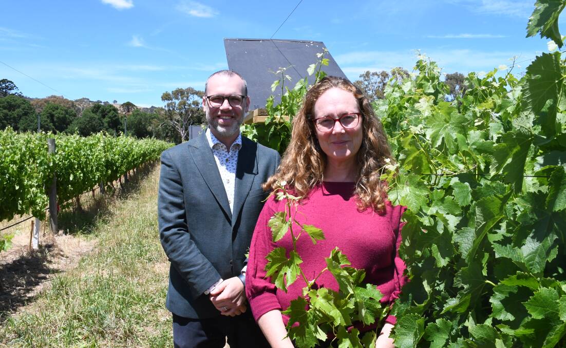 University of Adelaide's Armando Corsi and Cassandra Collins are excited by the potential of a vitivoltaics project, which will investigate the vine health, power generation, and business and marketing benefits of incorporating solar panels into vineyards. Picture by Quinton McCallum