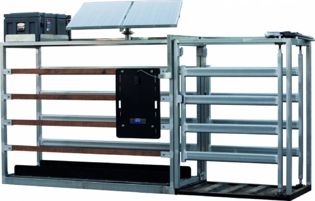 EASY WORK: The Tru-Test Remote Walk Over Weighing (WOW) System allows you to keep an eye on your cattle anywhere in the world. 