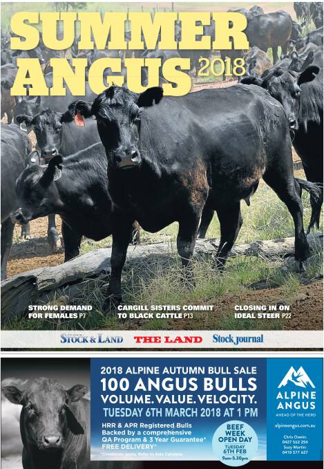 Strong start to 2017 for Angus cattle