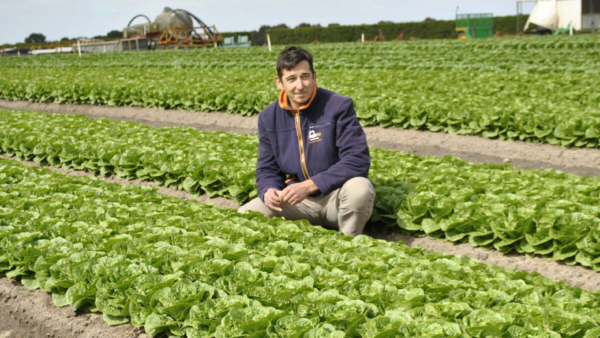 CONCERNED: AUSVEG VIC President and vegetable grower Paul Gazzola said the Seasonal Worker Program and the Pacific Labour Scheme were vital for Victorian producers to fill the growing void in the state's workforce. 