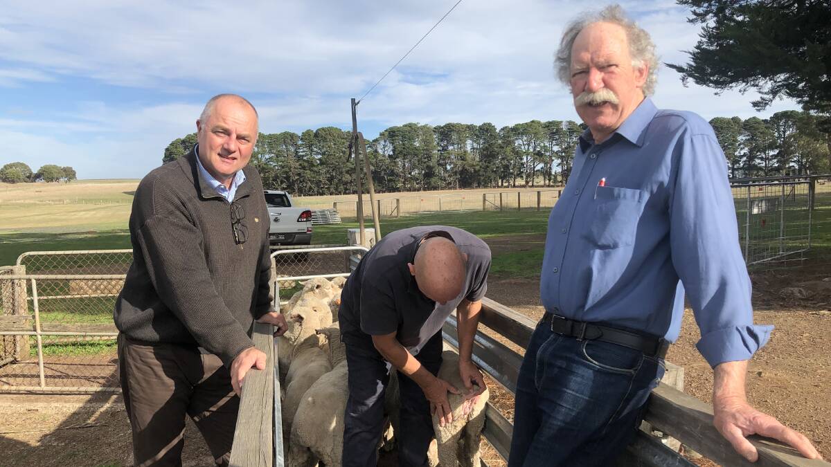 BUSY: SustainaWool project manager Paul Swan, SustainaWool lead auditor Leigh Kildey, and Michael Blake, Bally Glunin Park, doing breech inspections during the on-farm audit.