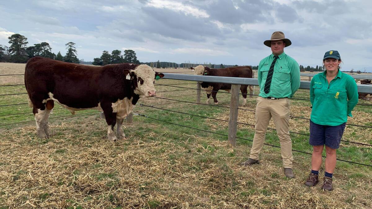 TOP PRICE: Nutrien Ag Solutions' Cooper Lamprey and stud principal Victoria Archer with the top-priced bull. Lot 1 was bought by Mountain Valley Poll Herefords and Minlacowie Poll Herefords for $30,000.