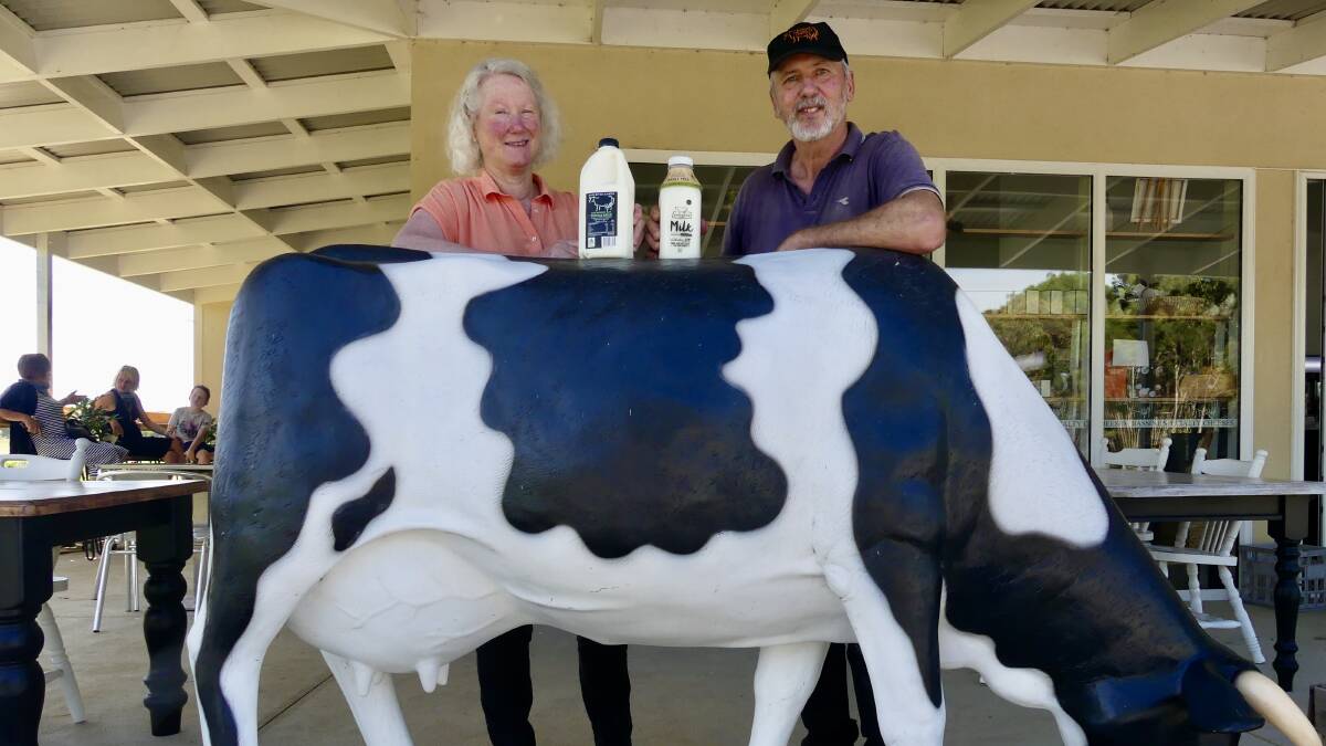 SAY CHEESE: Kaye Courtney and Glen Bisognin of Bass River Dairy produce a range of specialty cheeses and milk, which is supplied to the local area. 