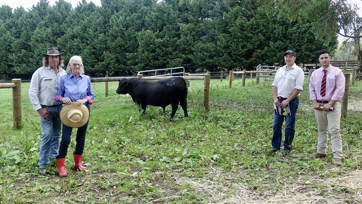 PLEASED: Buyers Lou and Rose Maher, stud principal Glenn Bowman and Elders Pakenham livestock agent Ryan Bajada with the top-priced bull. 
