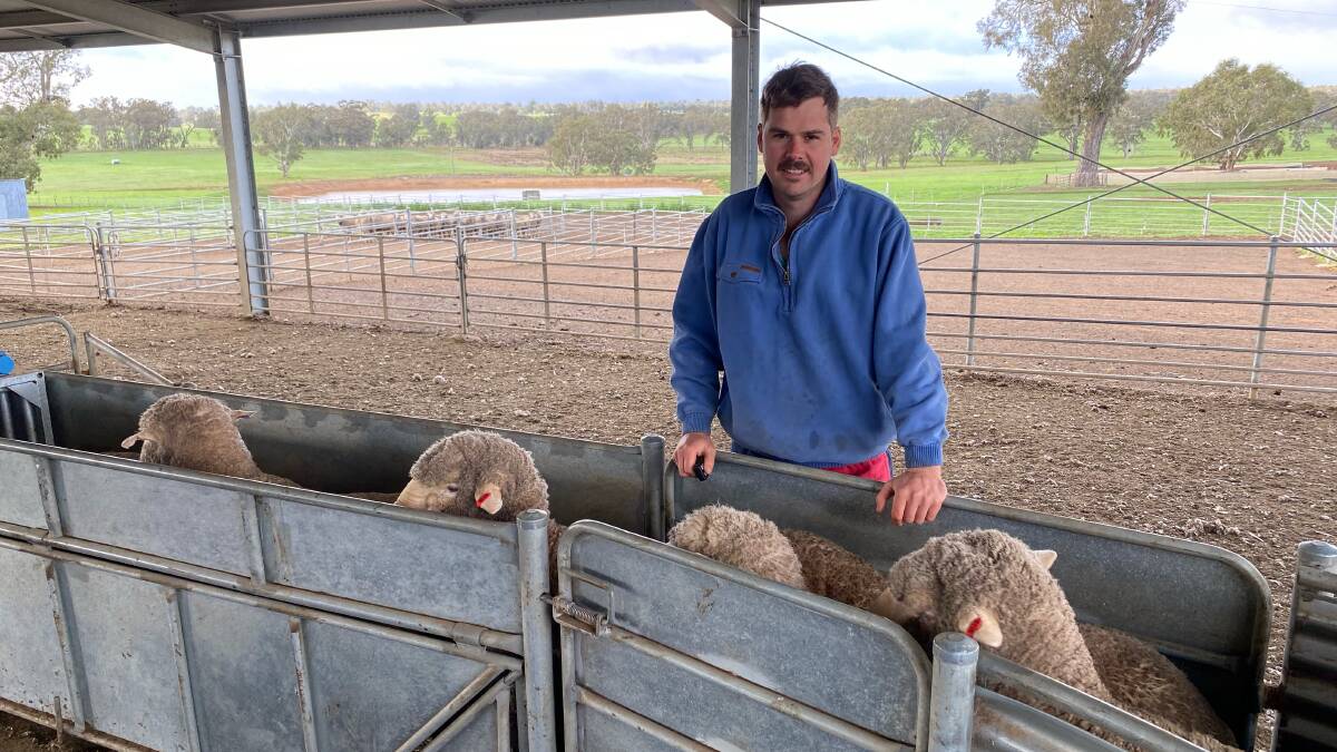 CALLOUT: Daniel Rogers, Mt Yulong Merino stud, Telangatuk East, is on this year's WoolPoll panel. He urged all eligible growers to have their say. 