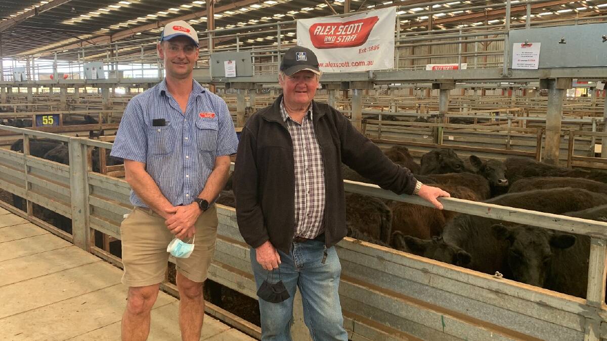 RESULT: Alex Scott & Staff Pakenham auctioneer David Setches with vendor Len McCormack, Caldermeade. Mr McCormack sold 130 heifers, including 22, 236kg, for $1500 or 635c/kg.
